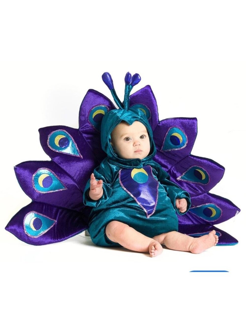 Peacock Infant Costume Toddler Child Bird Princess Paradise Size 18-24 Months